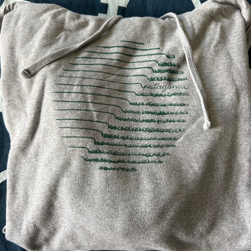 Patagonia hoodie